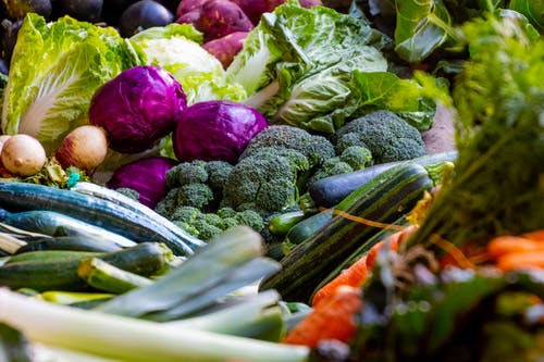 Vegetables that contain a lot of protein