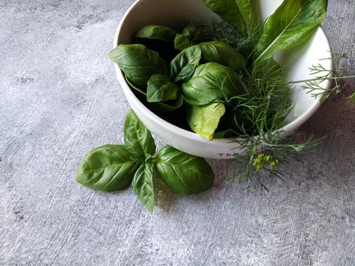 Health Benefits of Spinach